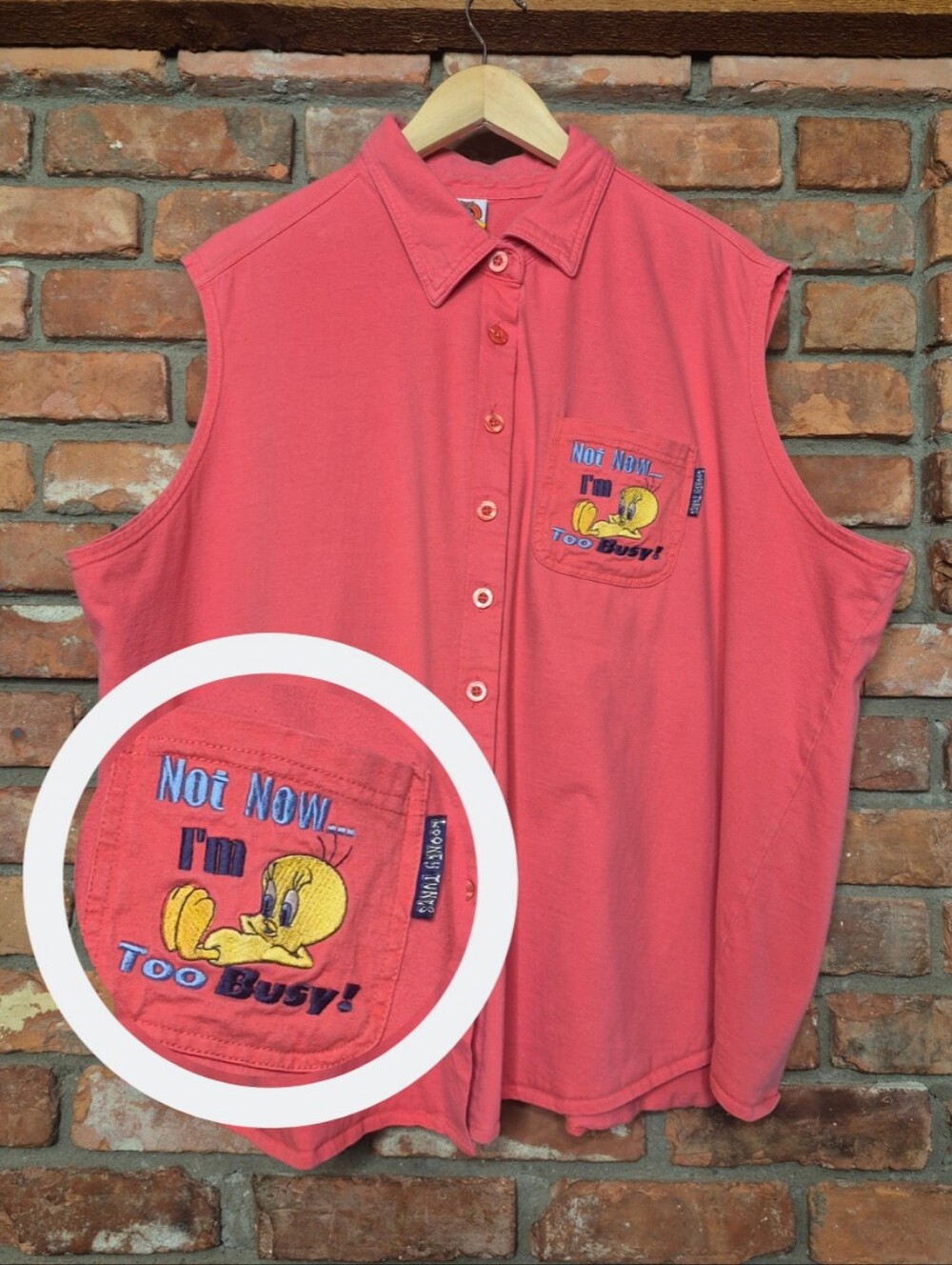 Looney Tunes Vintage 2002 Tweety Bird Embroidered Button Down Tunic Y2K Shirt